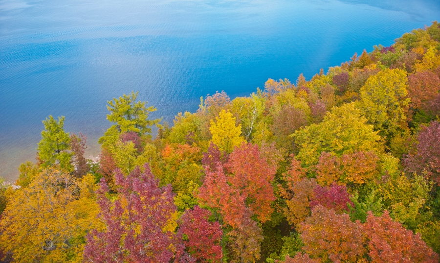 Autumn-Peninsula State Park Door County, WI.